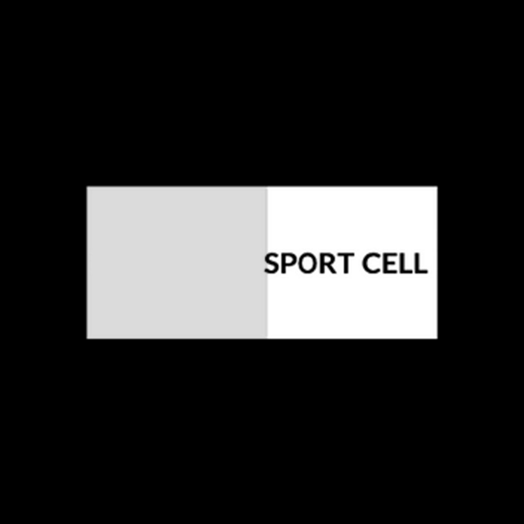 A modern logo for Sport Cell featuring sleek lines and dynamic elements, representing the energy and spirit of sports.